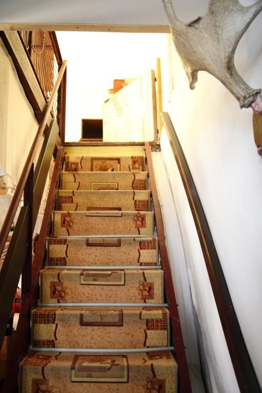 Дома для отпуска РОМАШКА -Сухум Сухум-24